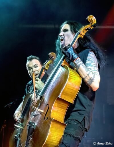 apocalyptica 12